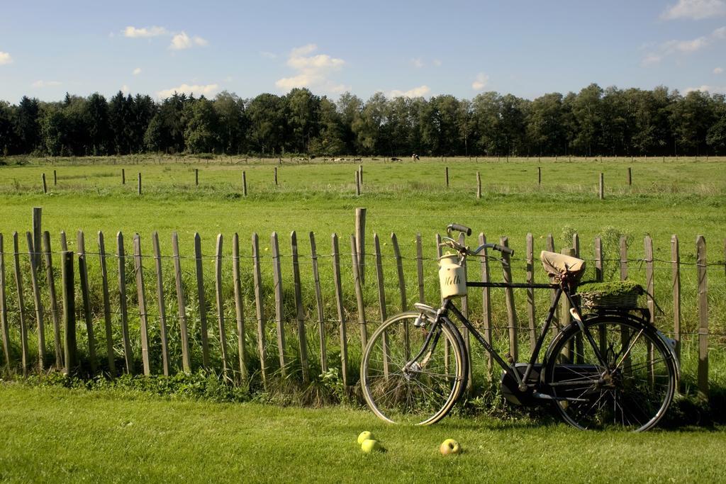 Oranje Hoeve Bed & Breakfast Helenaveen Exterior photo