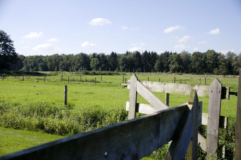 Oranje Hoeve Bed & Breakfast Helenaveen Exterior photo